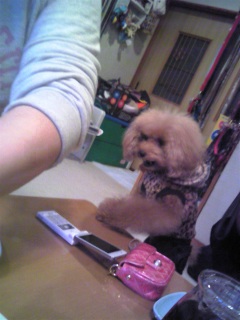 �A�������