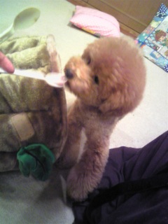 �����E�N