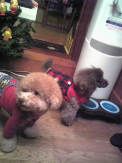 ���ꂽ���Ȃ�