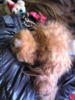 �ǂ��Q��ˁ[