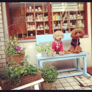 �J���������X