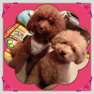 �s�b�^��