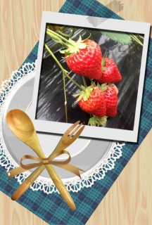 �C�`�S���