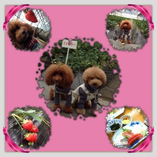 �y��������