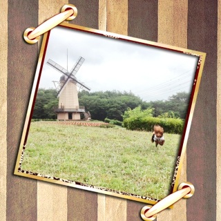 �C�ɂ��Ȃ���