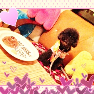 �j���������