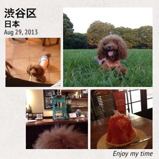 �G���W���C