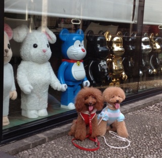 �����f�B�R���E�g�C��BE��RBRICK