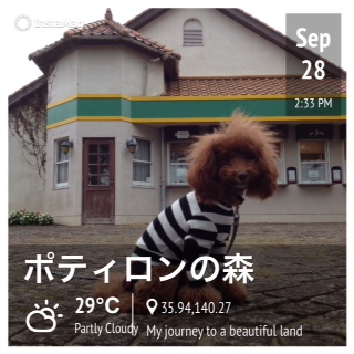 �|�e�B�����̐X