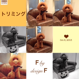 �eby design f +�b