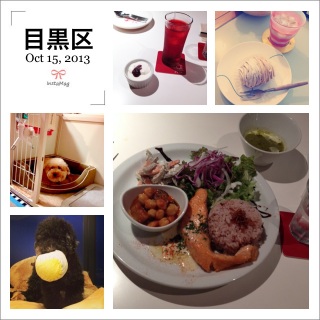 �����E�e�B���g���~���ODAY