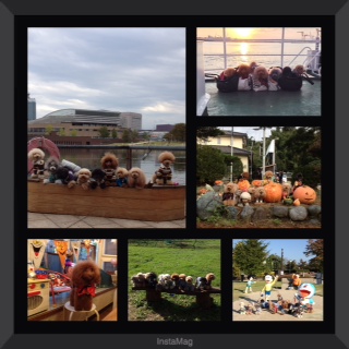 ILove TOYAMA