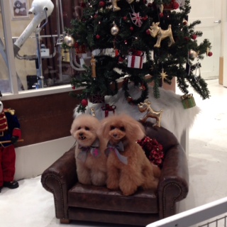 �D�������