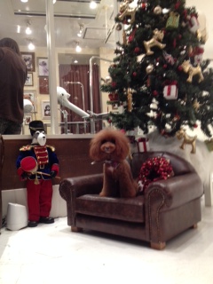 Xmas