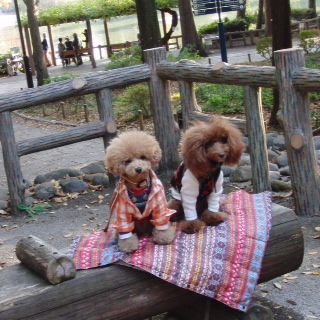 ��̓�����
