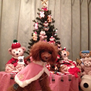 Xmas�c���[