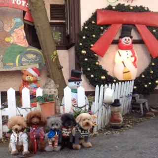 TOYS CLUB