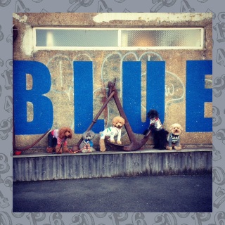 BLUE