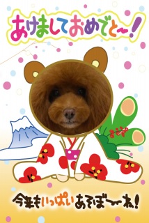 �މ�V�N