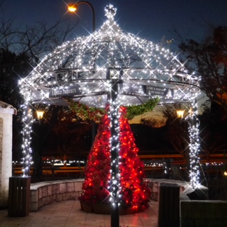 �V�����J������