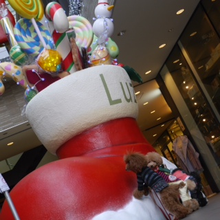 �L�����f�B