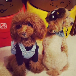 ���ז����Ă��܂�