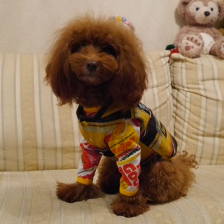 �܂�����񃁃C�h��B