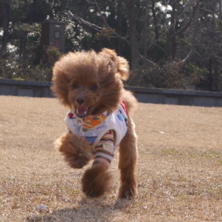 �y������