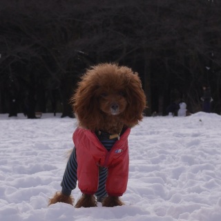 �y��������
