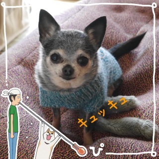 �L���b�L��