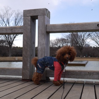 ����