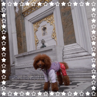 �}�n���W��