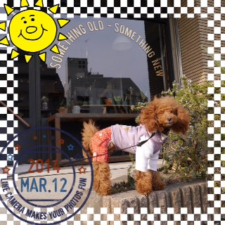 �V�������X