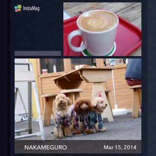���ڎU��