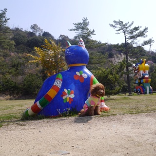 �˂�񂱂�