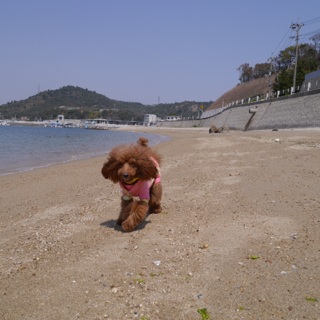 �y����