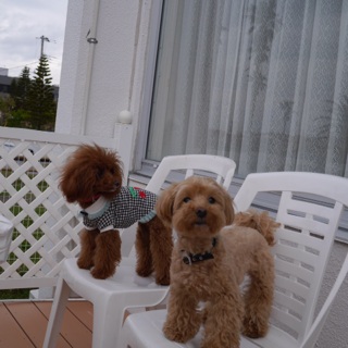 �z�e������