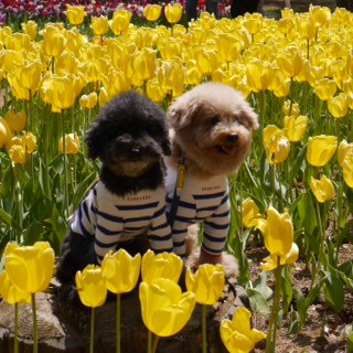 �j�R�j�R