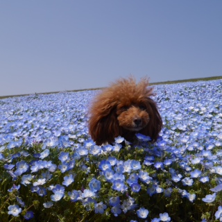 �ǂ��Ղ�