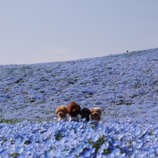 �C����蒼����
