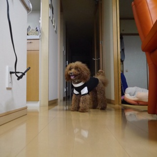 �I���c������