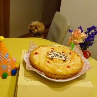�L���t�F�{��