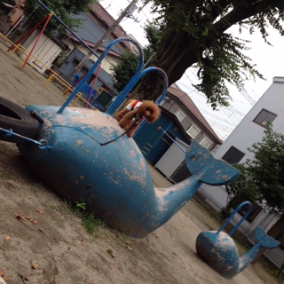 �y���L�h���ė~�������