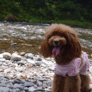 �y������