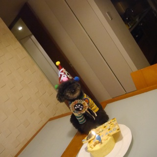 �r�V�b��