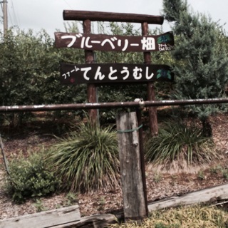 �r������