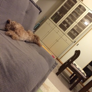 �݂邽��