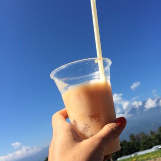 �t���b�V��