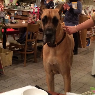 �ڂ������܂���