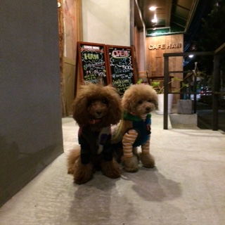 �c�[�V���b�g